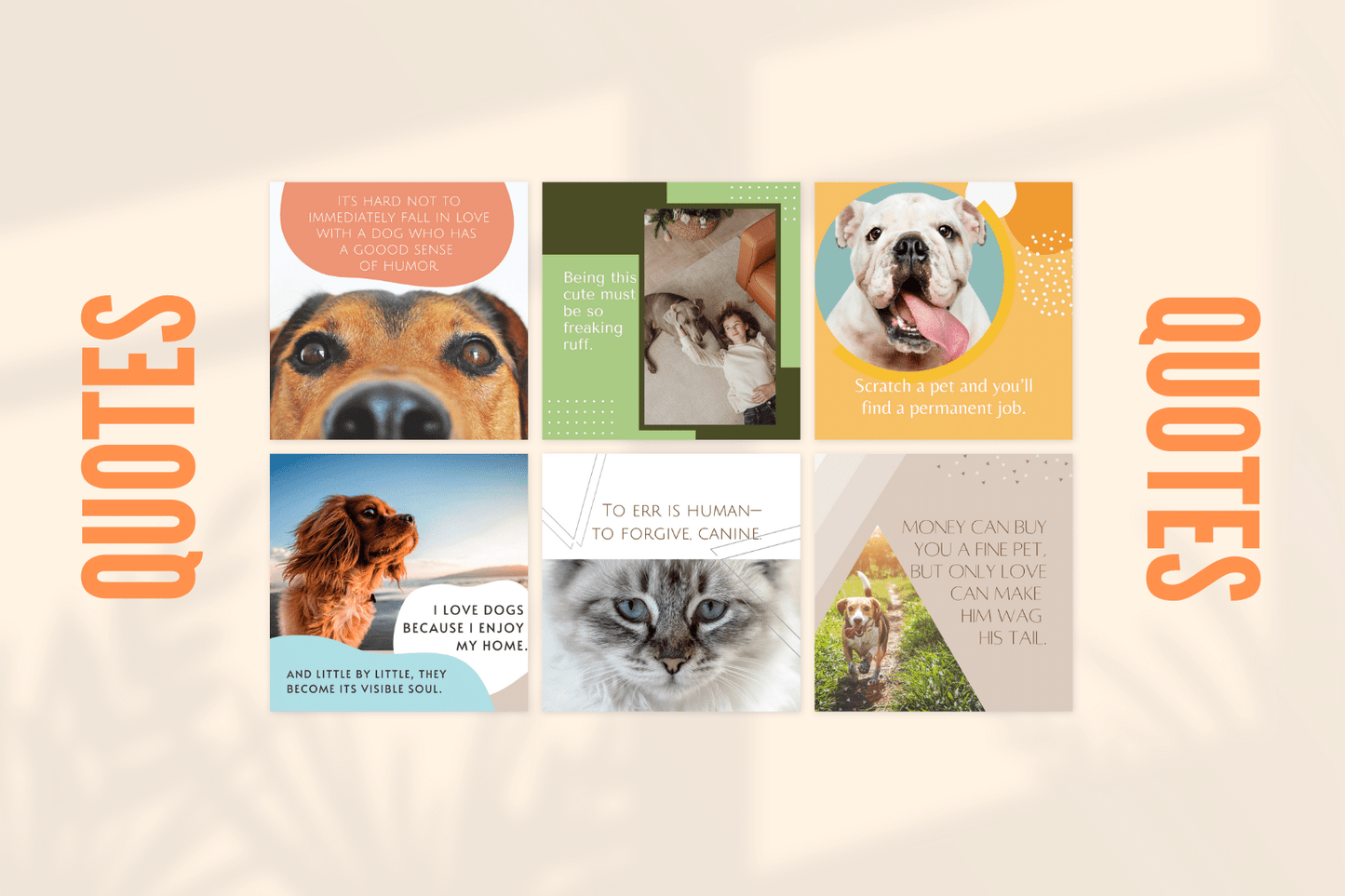 300 Pets Store Templates for Social Media